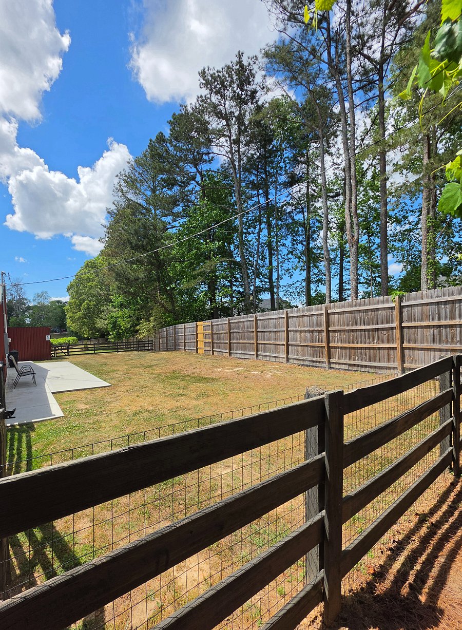 Suited, and fully fenced area for dogs