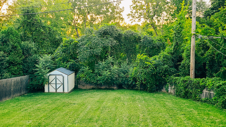 Full privacy, perfect bird watching spot
