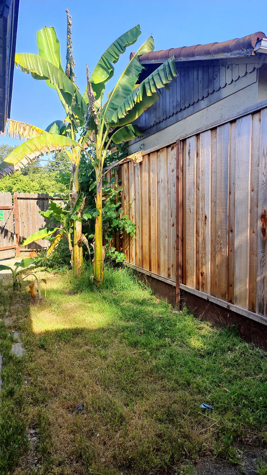 Furnished Finder property 672238_1 photo 15