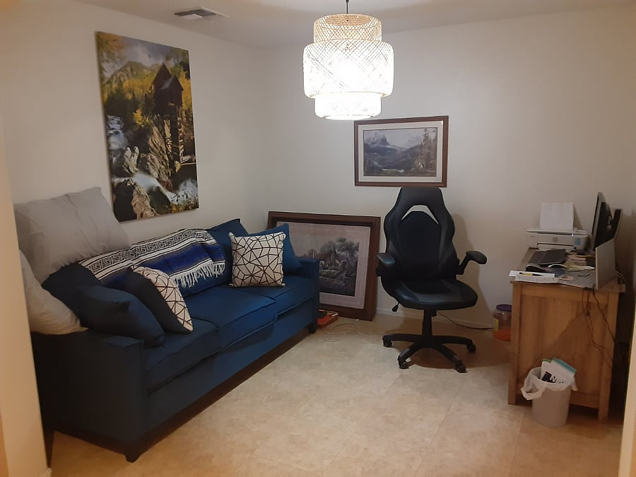 Den with desk and queen hide a bed