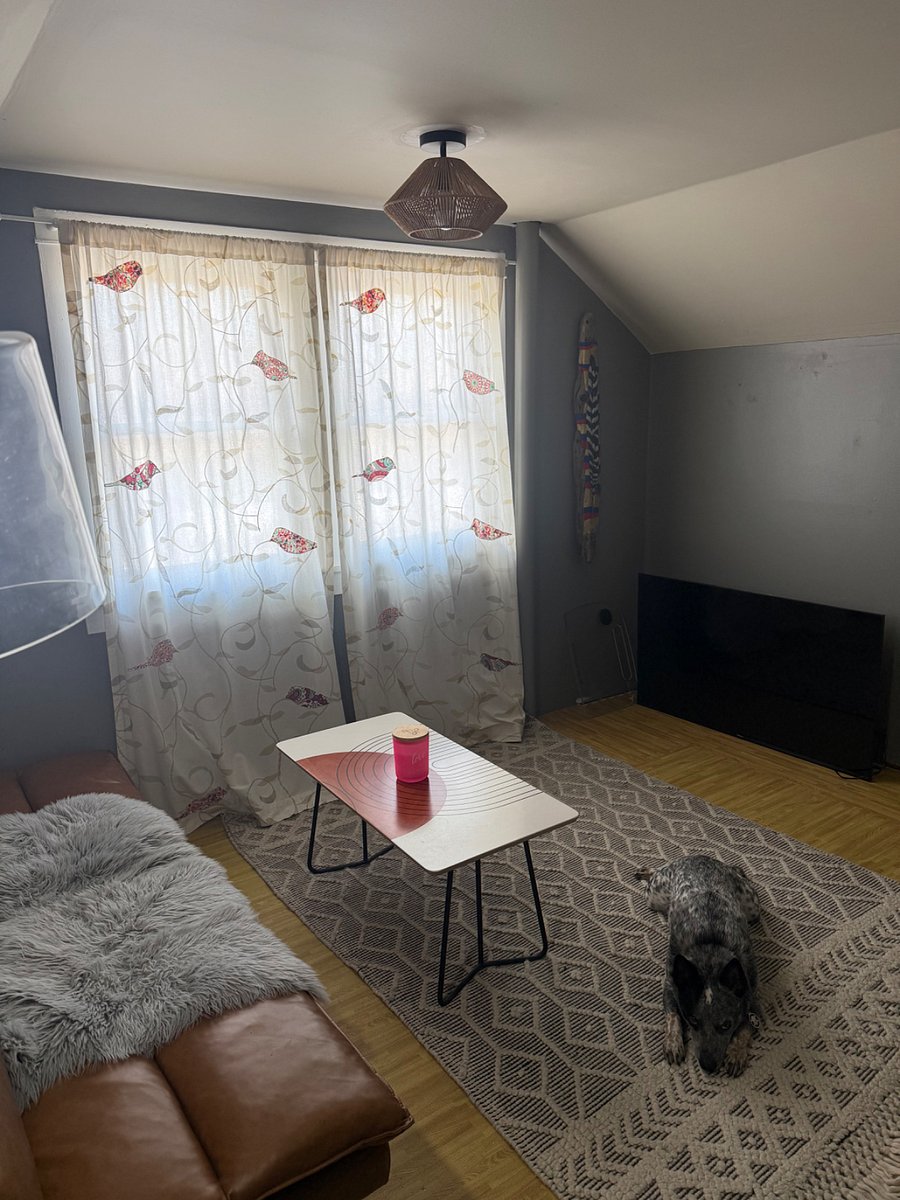 Upstairs Den TV room. Futon for additional sleeping.