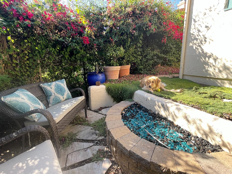 Shared backyard with cozy firepit.