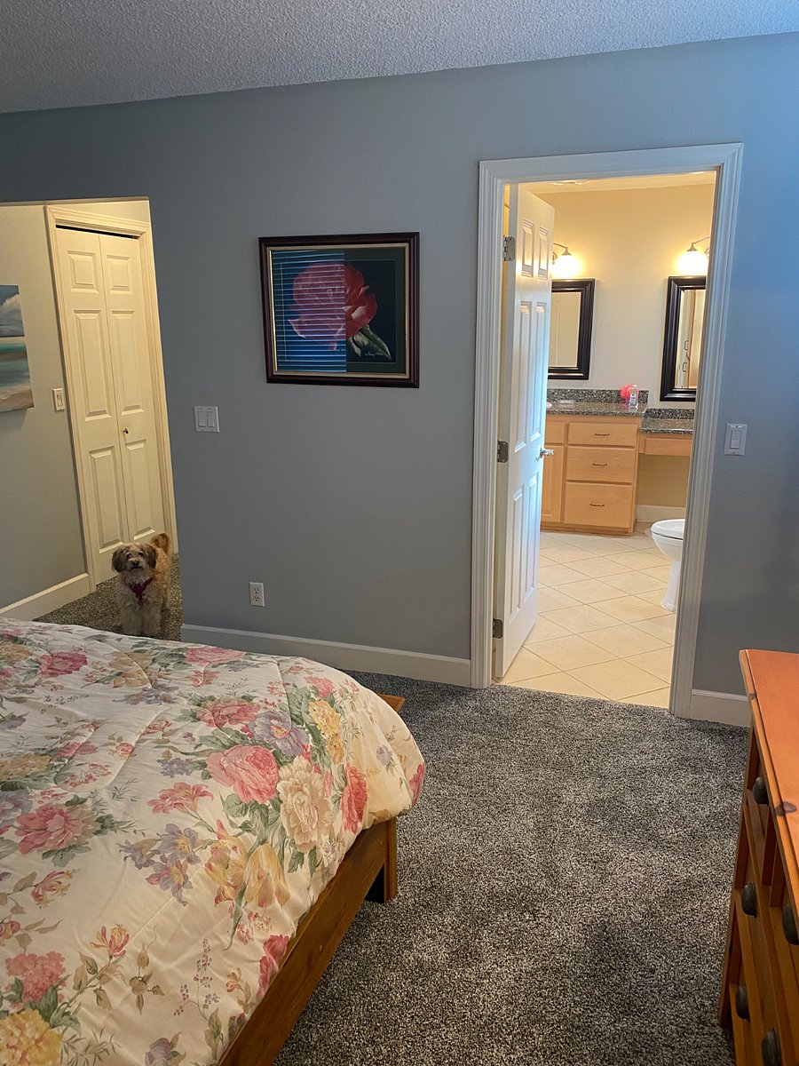 Furnished Finder property 672607_1 photo 13