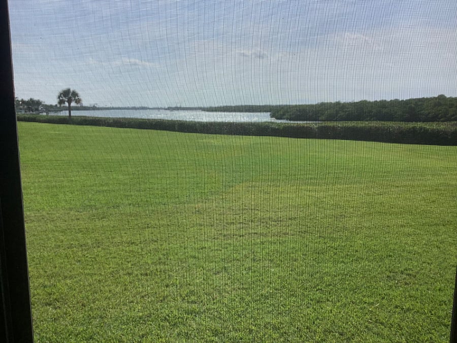 View from Living Room 