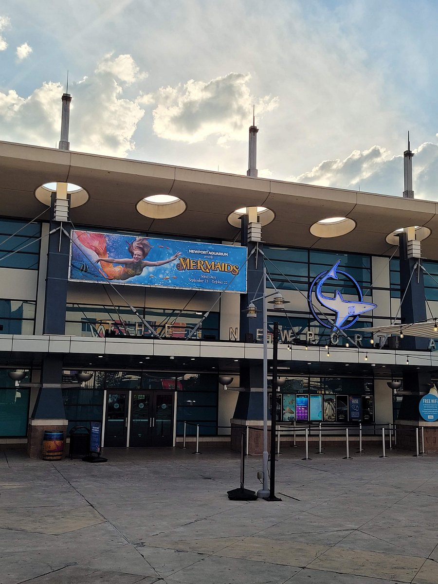 Newport Aquarium - One of the best aquariums in the country