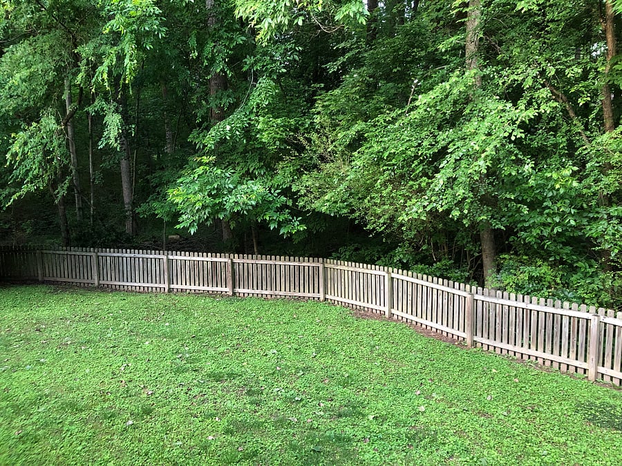 Furnished Finder property 672825_1 photo 18