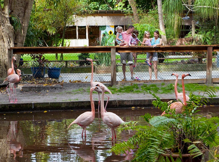 More Bonita Wonder Gardens