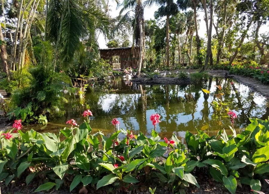 And even more Bonita Wonder Gardens