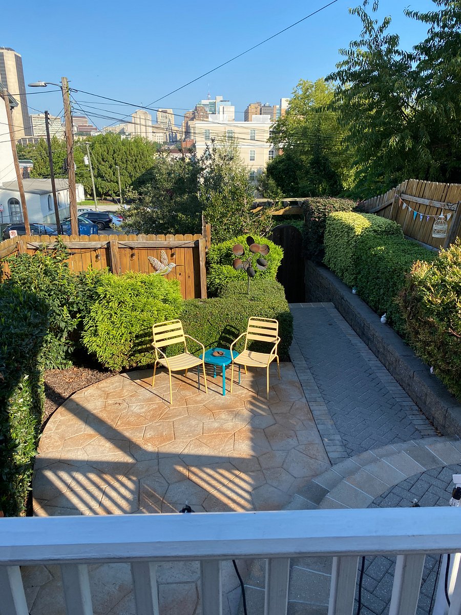 Backyard with views of VCU Health 9 blocks away. 