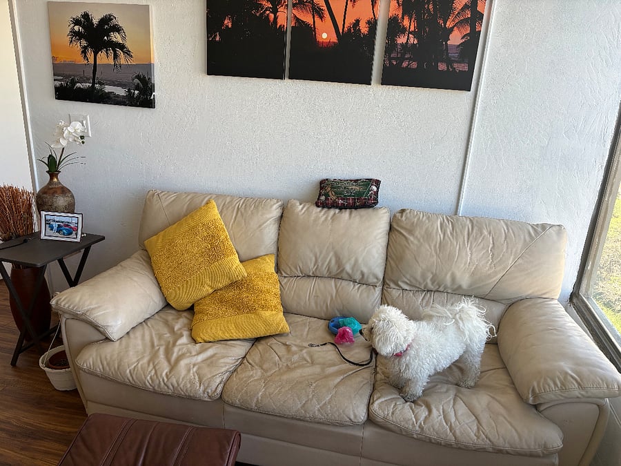 Furnished Finder property 673090_1 photo 9