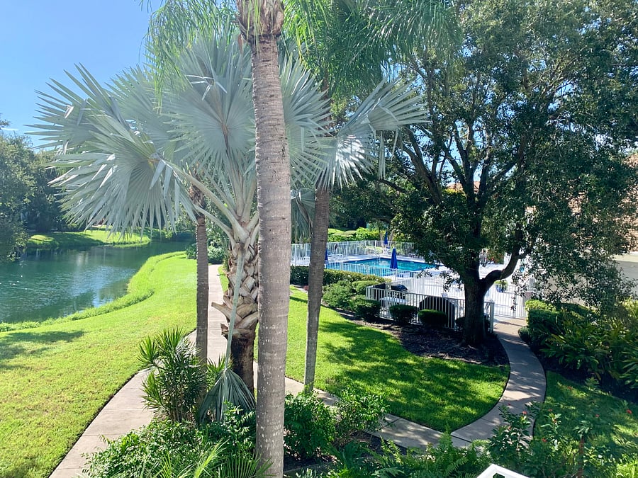 View towards the pool