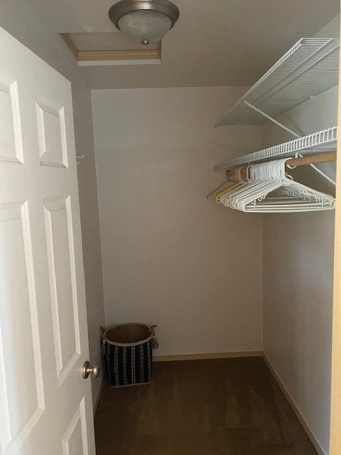 Main bedroom's walk in closet