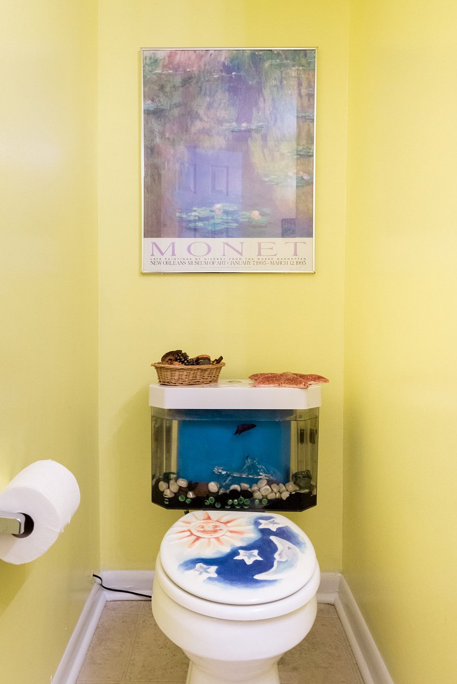 Fish tank toilet in Half-Bath