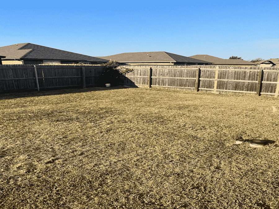 Backyard