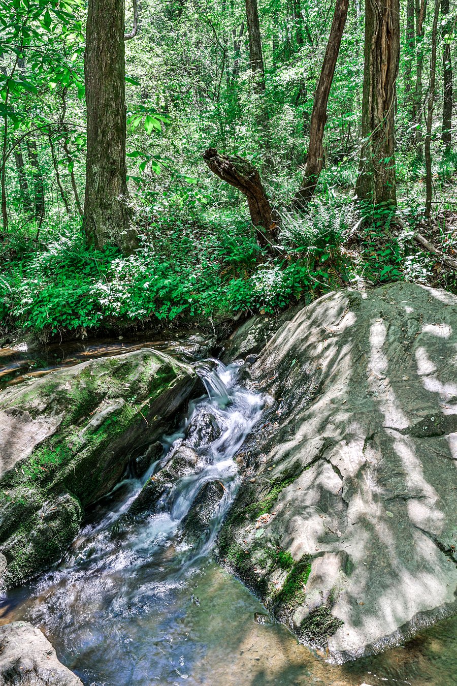 Picture perfect stream running through park within walking distance of the home. Perfect for families with young children.