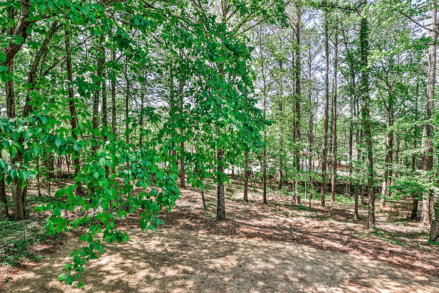 Huge, large fenced backyard perfect for pets.