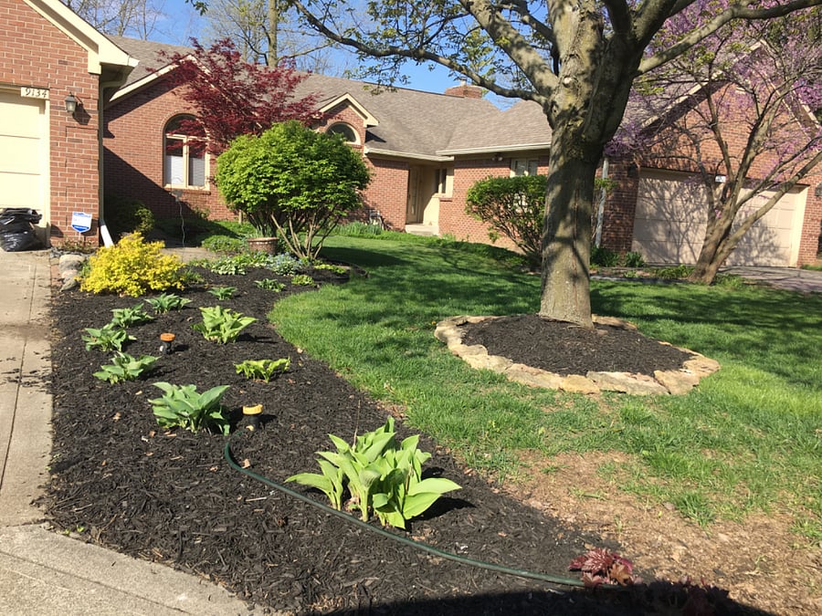 Front yard.