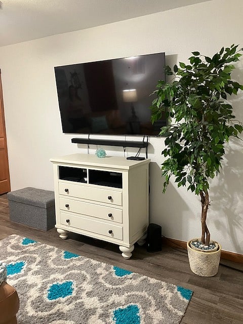 Living Room - TV and Console