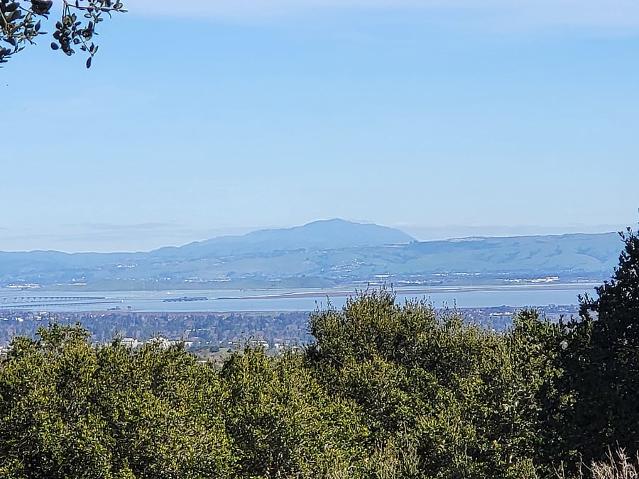 view from the deck