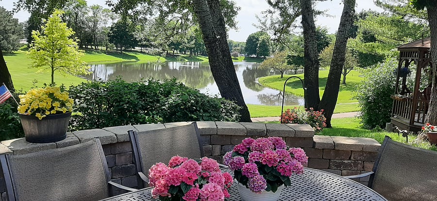 Back patio view