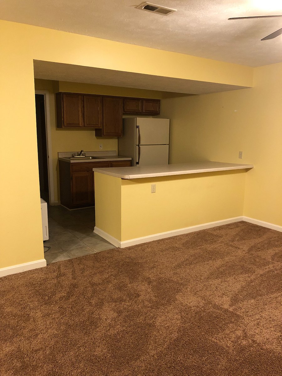 extra sink, refrigerator in basement