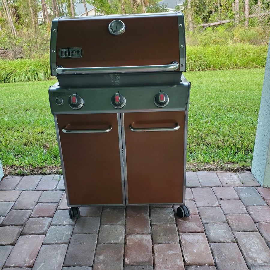Gas grill - new ~800 sqft lanai with cage will be finished by May.
