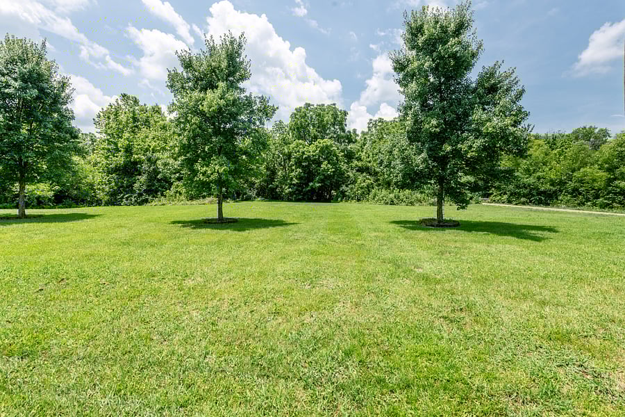 Furnished Finder property 674193_1 photo 15