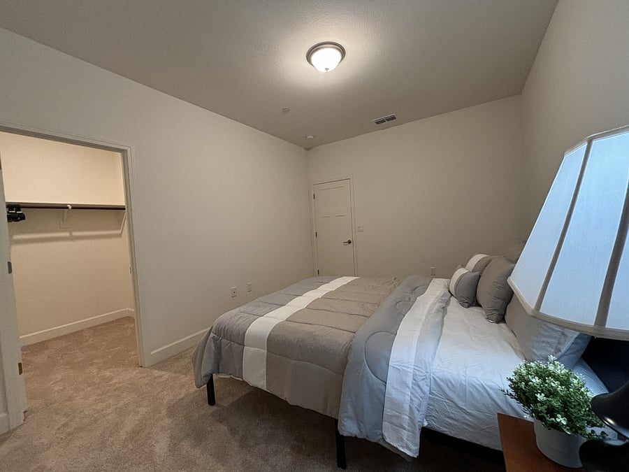 Second bedroom with big walk-in closet. Brand-new Queen bed, mattress, and linen sheets.