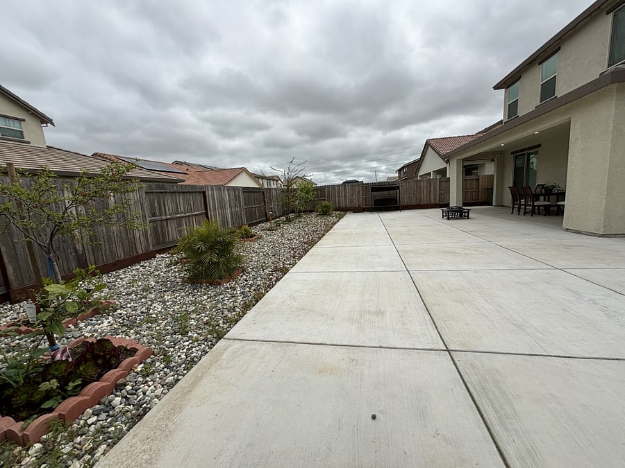 Huge backyard with many fruit trees.