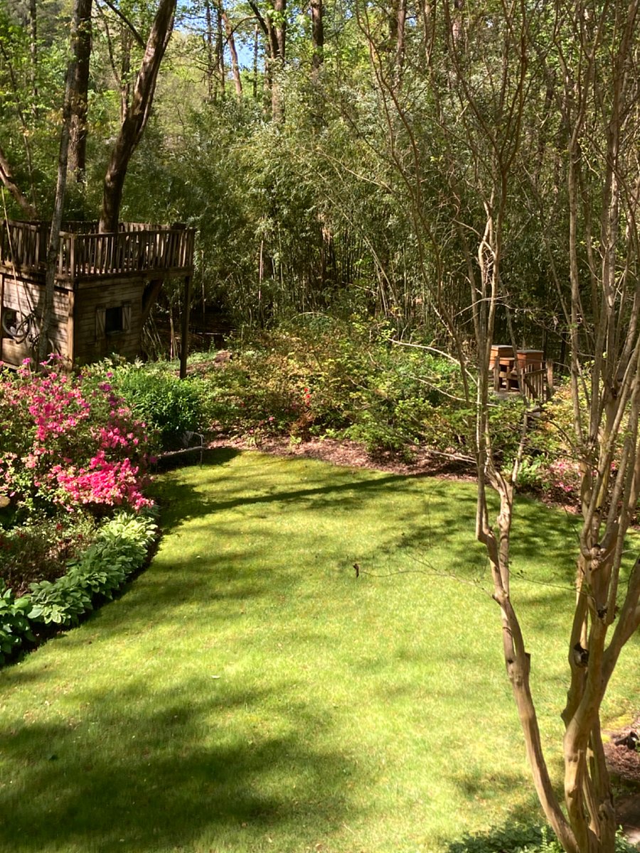 Furnished Finder property 674265_1 photo 14