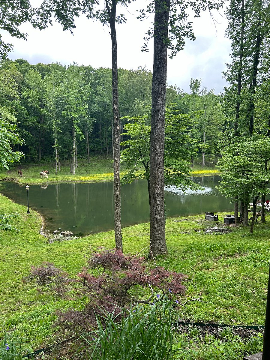 Furnished Finder property 674383_1 photo 24