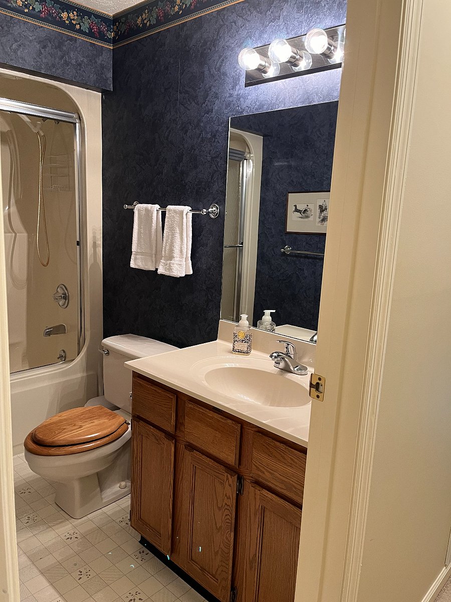 Guest bathroom