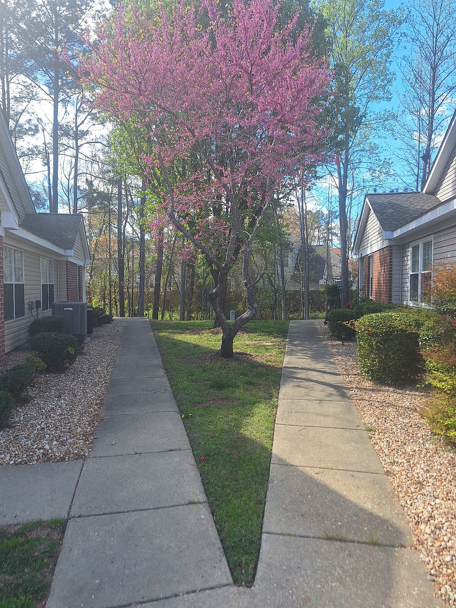 Furnished Finder property 674595_1 photo 17