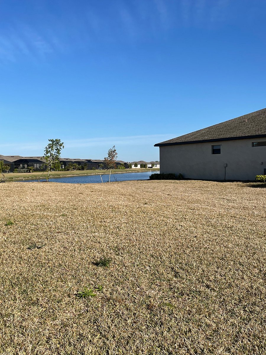 Furnished Finder property 674629_1 photo 23
