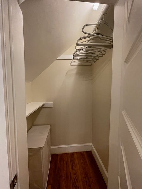 Walk-in closet. Velvet hangers included