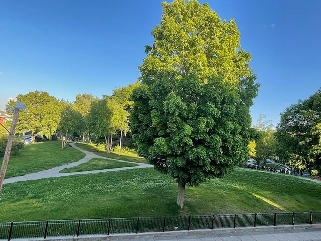 Park - across the street from home, with walking paths and exercise equipment.