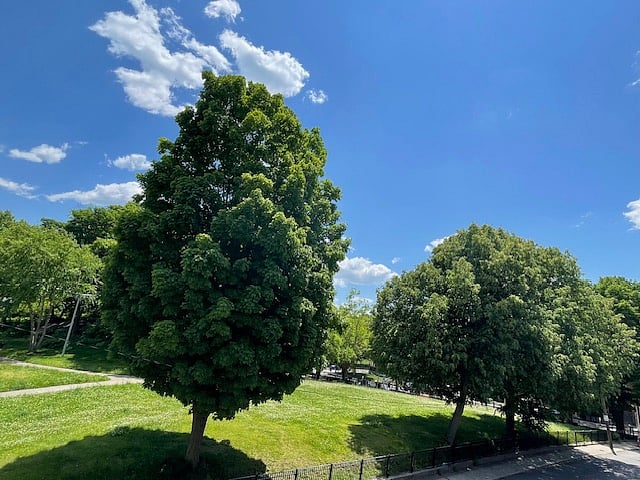 Park - across the street from home, with walking paths and exercise equipment.