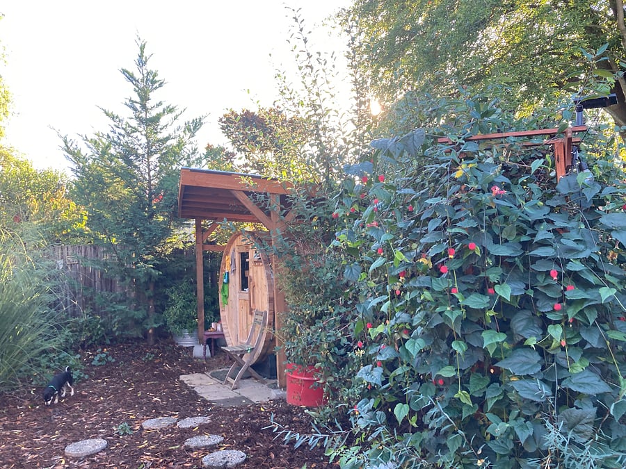 rear yard with sauna