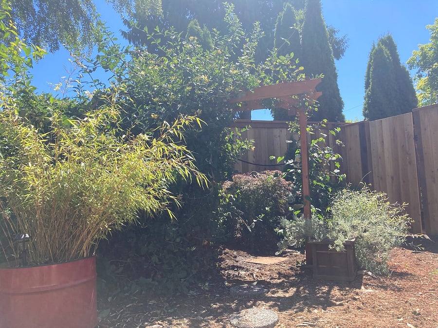 rear yard with sauna