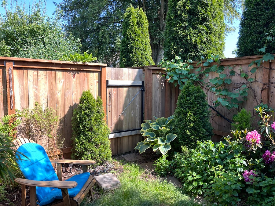 fenced in yard / grapes / wisteria / gate to rear yard with sauna 