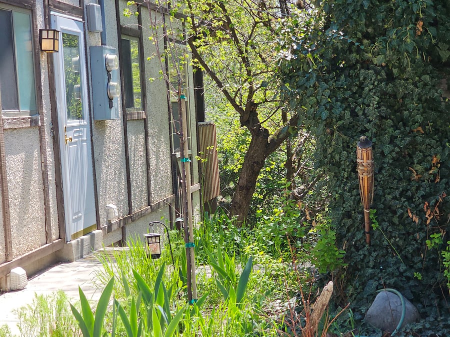 Back door, and the corner of the old shed.