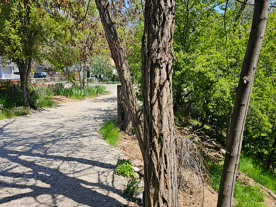 View from the porch to the mailboxes.