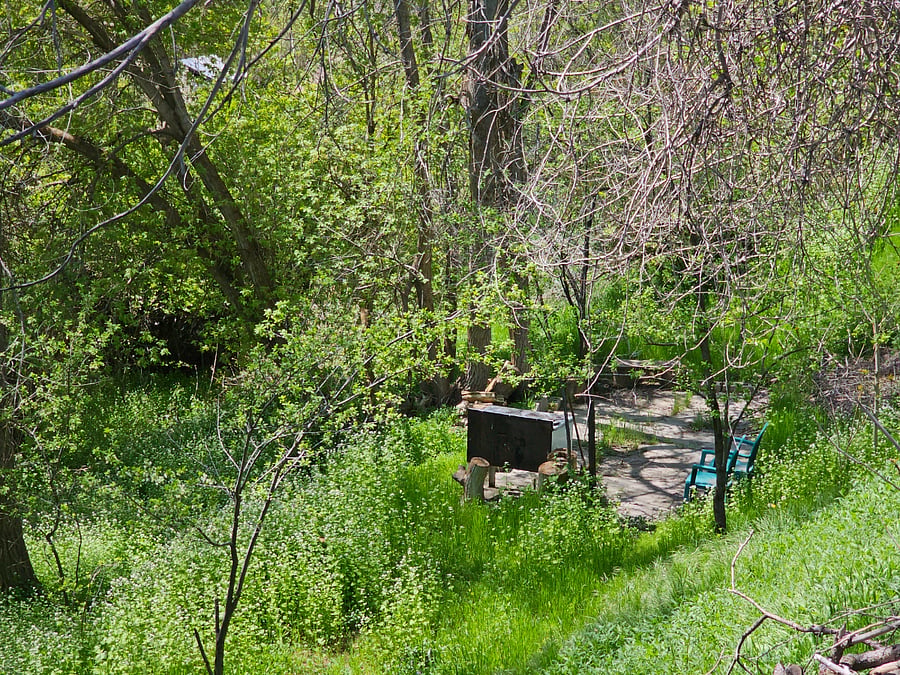 A firepit and picnic area for an ambitious person. Needs a bit of tidying up but it is really fun!