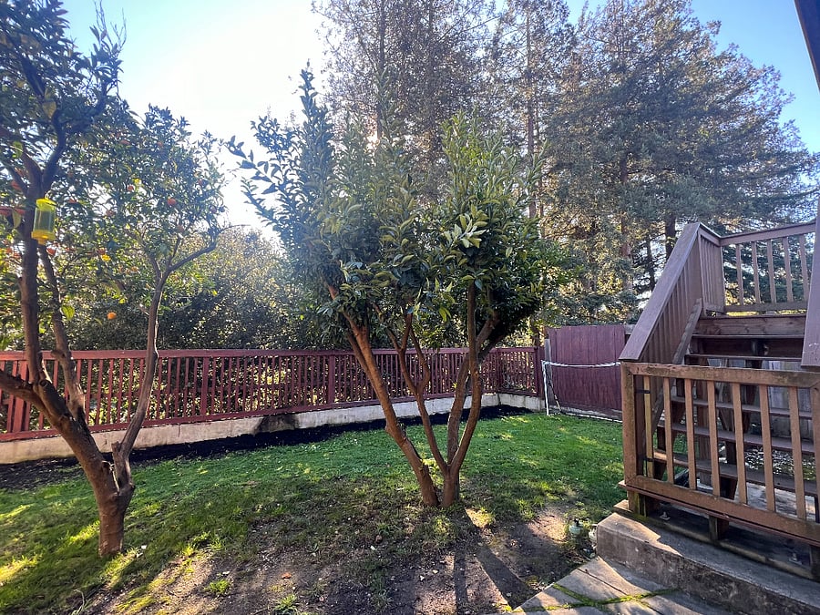 Furnished Finder property 675046_1 photo 10