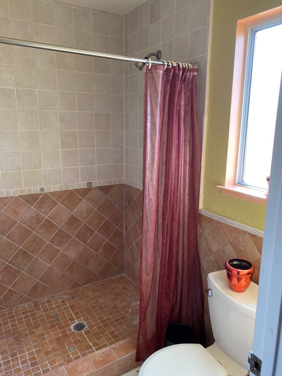 Master bedroom shower and toilet