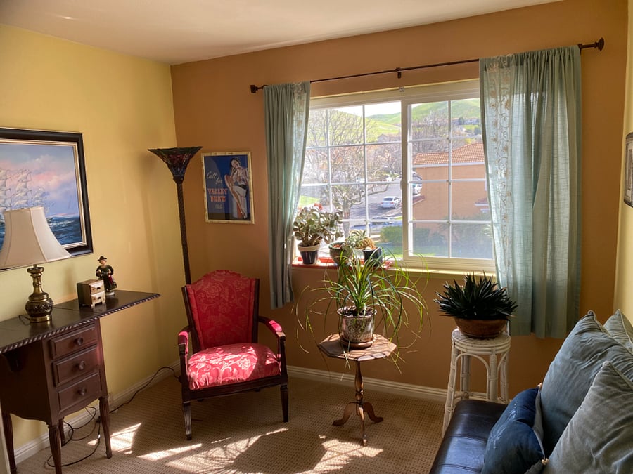 Sun room (could be additional bedroom)