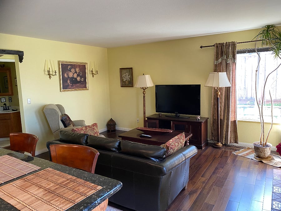 Den with leather sofabed