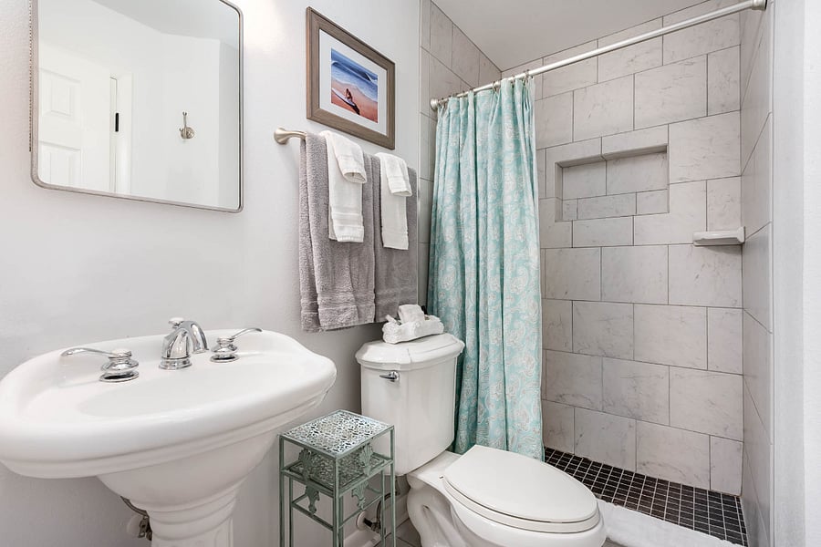 Downstairs bath with walk in shower