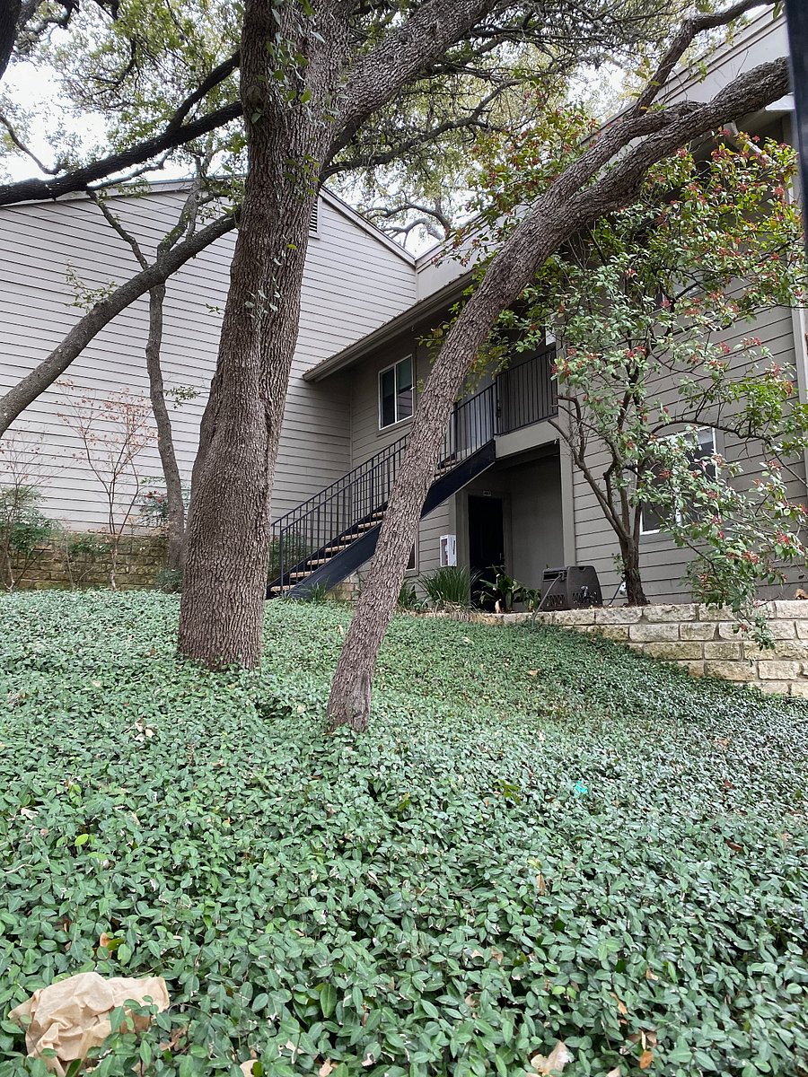 Furnished Finder property 675464_1 photo 9