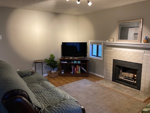rouk TV
games
fireplace is not usable